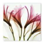 Forrest Floral Wall Art - Image 3