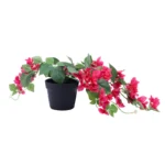 Faux Realistic Bougainvillea Flower With Black Plastic Pot - Image 3