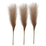 Faux Pampas Grass Sticks (45.7 cms) - Coffee - Image 4